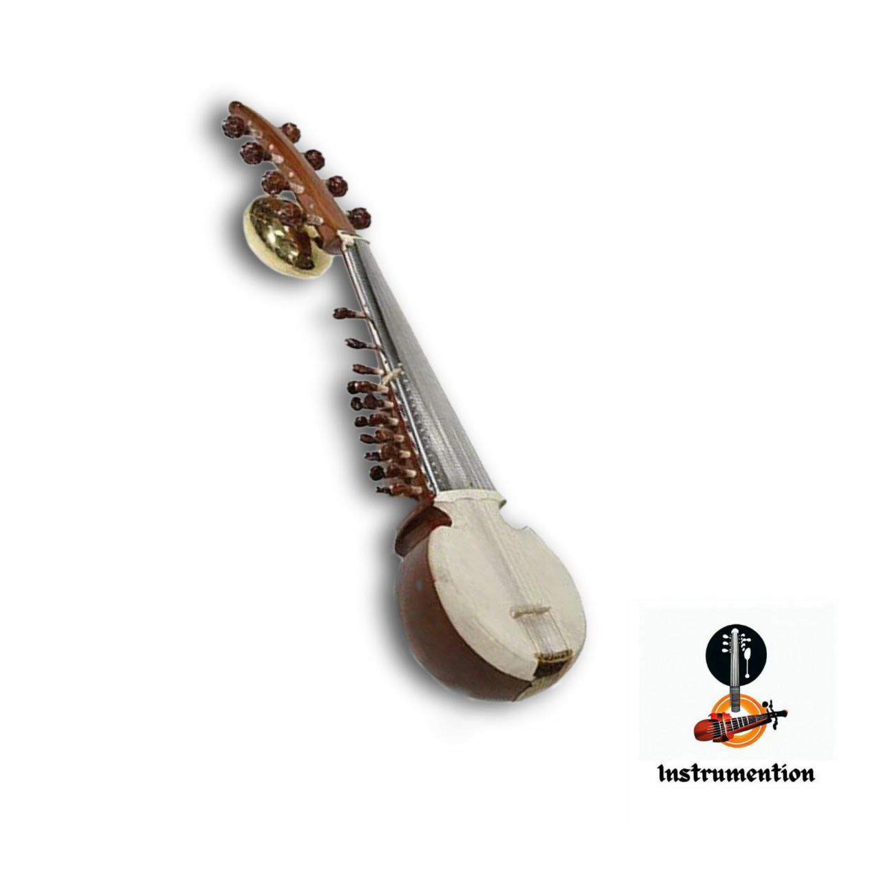 Instrumention Sarod (1)